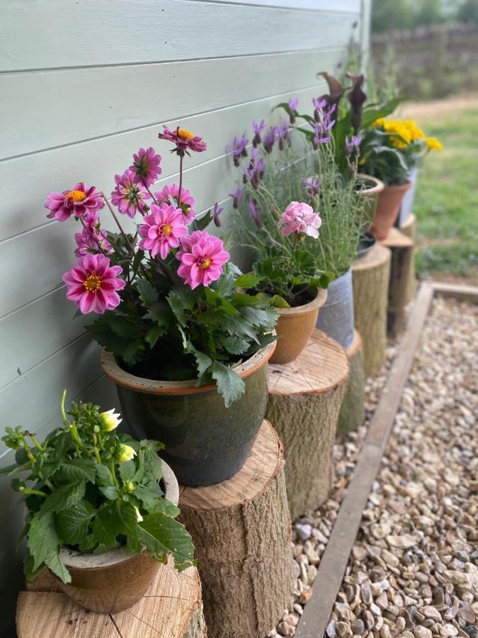 Cosy Cotswolds Self-Contained One Bedroom Cottage Chipping Norton Εξωτερικό φωτογραφία